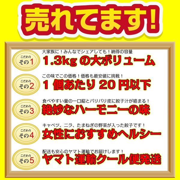 餃子 100個 冷凍食品 訳あり