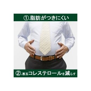 伊藤園 2つの働き カテキン緑茶 350ml 1箱 24本入 トクホ
