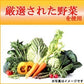 充実野菜 緑黄色野菜ミックス 190g 20缶入×2ケース