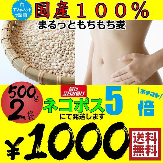 まるっともち もち麦 (大麦) 国産 1kg (500g×2袋)