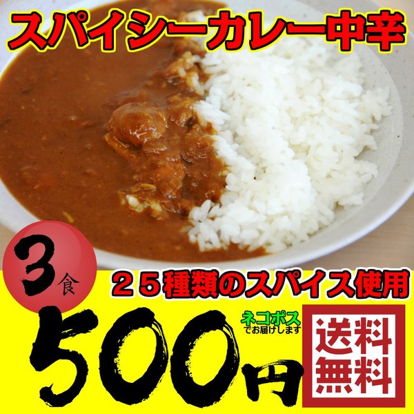 レトルトカレー 3食 スパイシーカレー 中辛