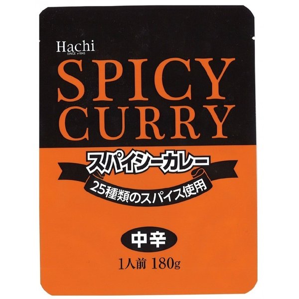カレー レトルトカレー 40食 中辛 スパイシーカレー 中辛