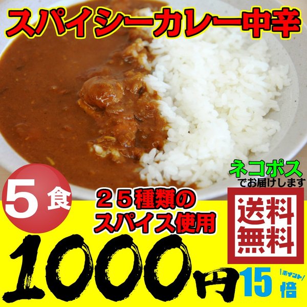 レトルトカレー 5食 スパイシーカレー 中辛