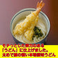 太麺強腰 讃岐うどん  セール 15人前