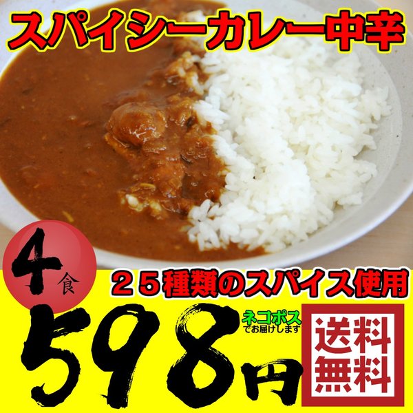 レトルトカレー 4食 スパイシーカレー 中辛