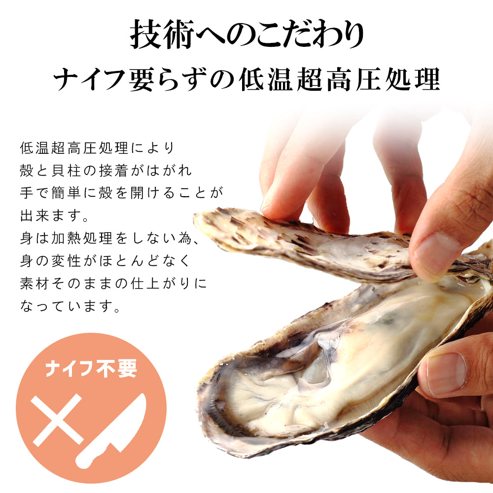 生食用殻付き牡蠣　6個×2袋