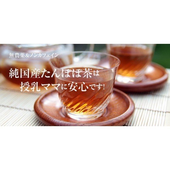 健滋の国産たんぽぽ茶(１パック20コ入) 1パック