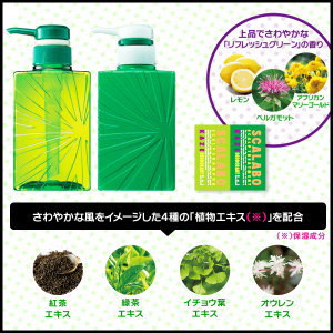 【送料無料】SCALABO 選べるスカルプケア 爽快・健康・潤う頭皮 ◇ スカラボ スカルプ トリートメント KAZE/グリーン
