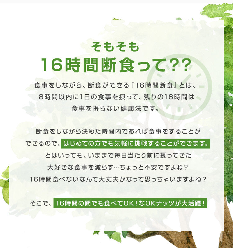 16時間断食セット