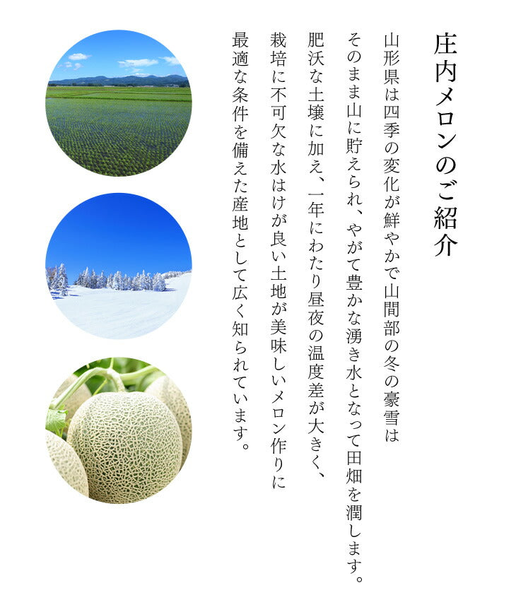 送料無料 ギフト 香りおはぎ(メロン味) 9個いり ※一部地域は別途送料 お中元