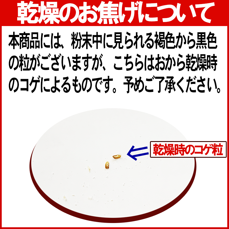 おからパウダー 国産 粗めの粉末 500g×1袋 グルテンフリー 送料無料