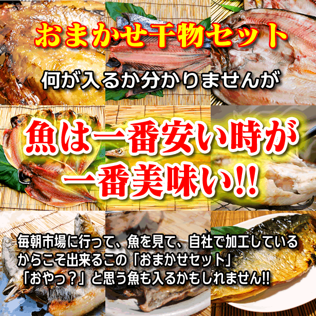 おまかせ干物セット 1万円