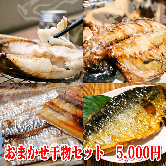 おまかせ干物セット 5千円