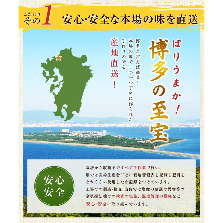 九州高菜2袋セット「明太子高菜＆直火高菜セット」