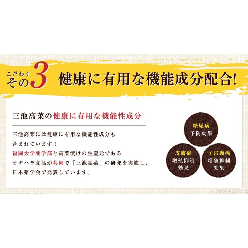 九州高菜2袋セット「明太子高菜＆直火高菜セット」