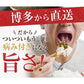 九州高菜2袋セット「明太子高菜＆直火高菜セット」