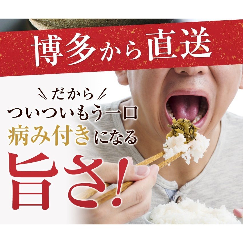 九州高菜2袋セット「明太子高菜＆直火高菜セット」