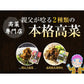 九州高菜2袋セット「明太子高菜＆直火高菜セット」