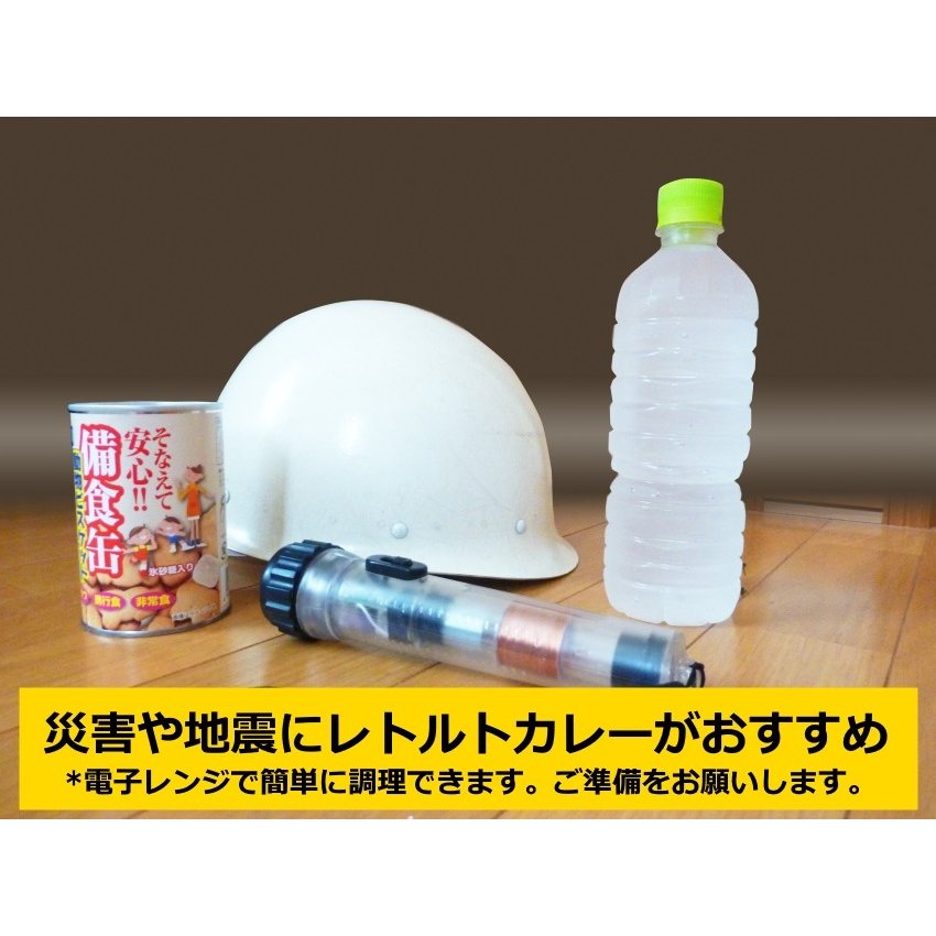 ニチレイ４種カレーセット　ビーフ３種＋チキン１種