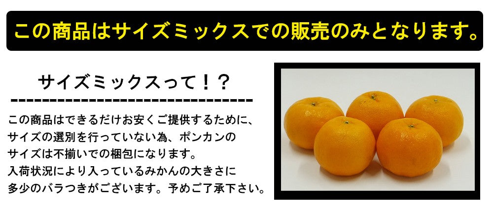 ポンカン 愛媛 箱買い 5kg