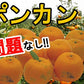 ポンカン 愛媛 箱買い 5kg
