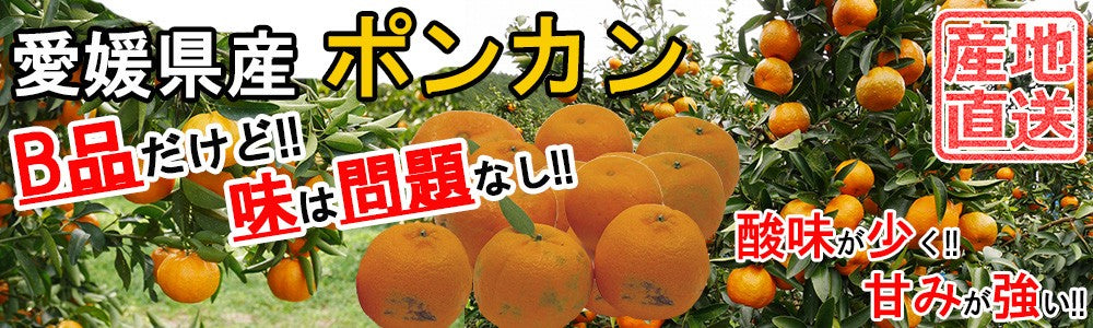 ポンカン 愛媛 箱買い 5kg