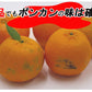ポンカン 訳あり 愛媛 5kg