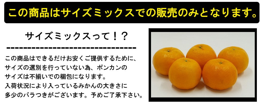 ポンカン 訳あり 愛媛 5kg