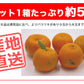 ポンカン 訳あり 愛媛 5kg