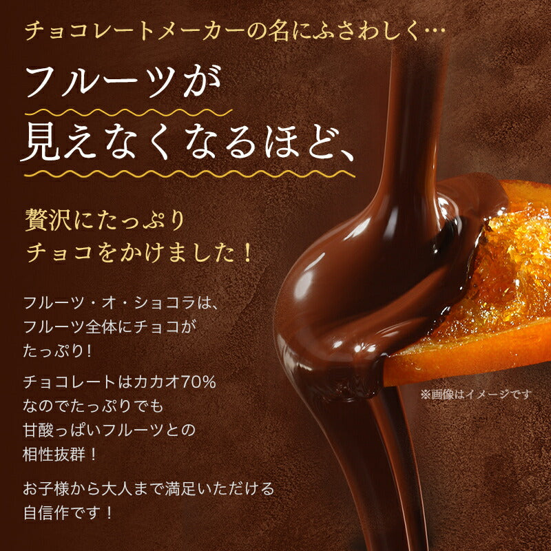 【チョコレート フルーツ・オ・ショコラ オレンジ ドライフルーツ チョコがけ 500g（250g×2袋）】 カカオ70% ハイカカオ エンローバーチョコレート
