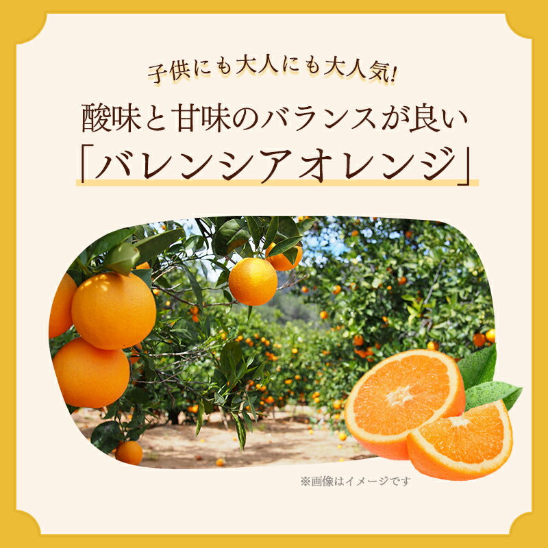 【チョコレート フルーツ・オ・ショコラ オレンジ ドライフルーツ チョコがけ 500g（250g×2袋）】 カカオ70% ハイカカオ エンローバーチョコレート