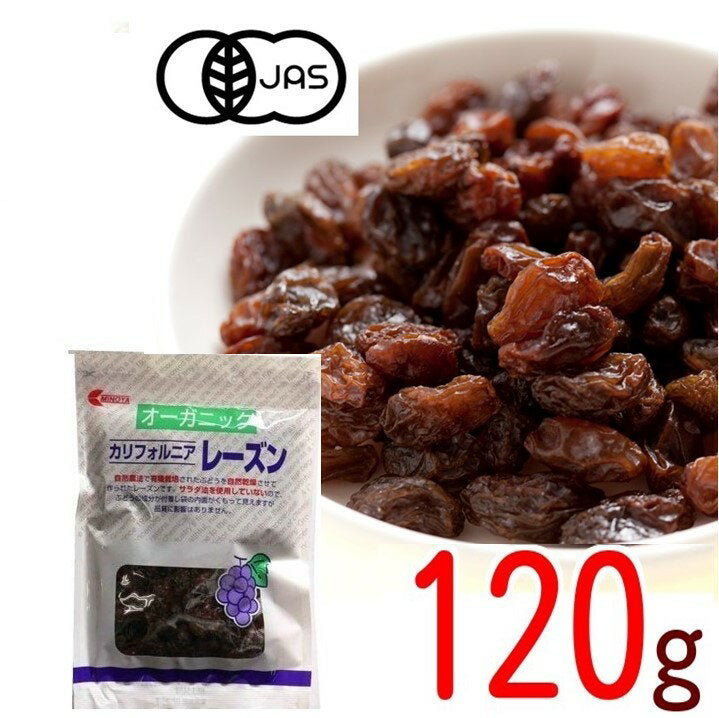 【有機JAS】オーガニックレーズン 120g ゆうパケット 無添加 ノンオイル 有機レーズン グルメ