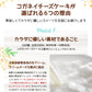 贅沢チーズケーキ４種セット