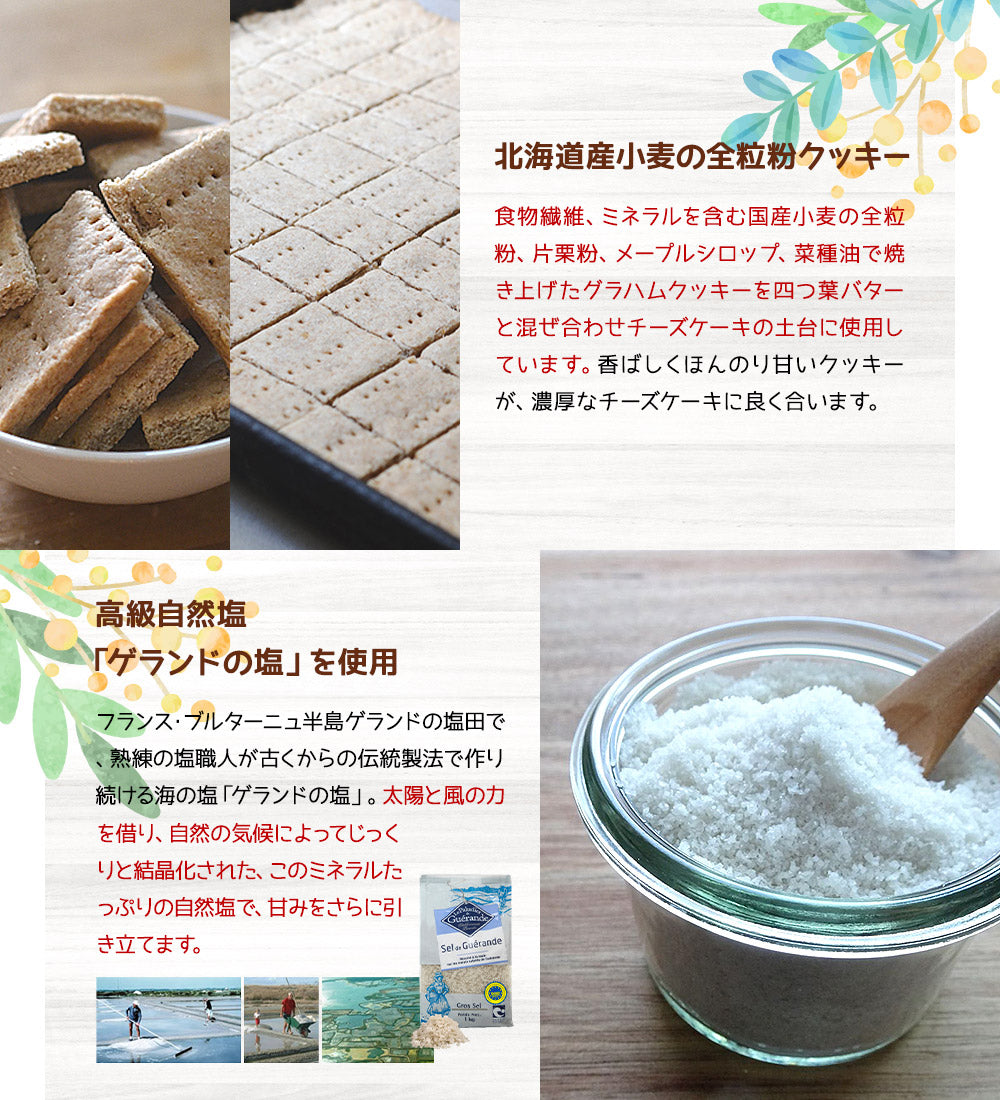 白砂糖不使用チーズケーキお試し４種セット