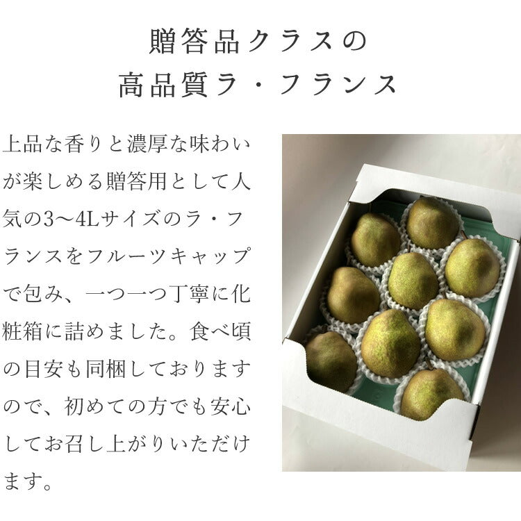 お歳暮 御歳暮 ギフト 送料無料 山形県寒河江産 洋梨ラフランス約3kg(8〜9玉) のし対応 お歳暮 ※九州・沖縄・一部離島を除く