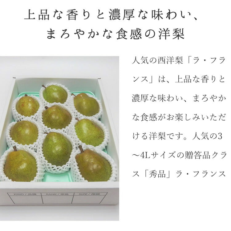 お歳暮 御歳暮 ギフト 送料無料 山形県寒河江産 洋梨ラフランス約3kg(8〜9玉) のし対応 お歳暮 ※九州・沖縄・一部離島を除く
