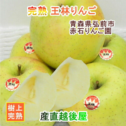 【フルーツ りんご 青森りんご 送料無料】青森県弘前市 赤石りんご園青森りんご 王林 5kg（12玉～20玉）通常品 期間限定 樹上完熟りんご【リンゴ 果物 贈答品 ギフト】