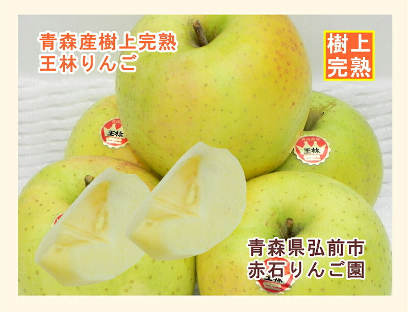 【フルーツ りんご 青森りんご】青森県弘前市 赤石りんご園青森りんご 寒じめ王林 5kg通常品 樹上完熟りんご 送料無料【リンゴ 果物 贈答品 ギフト】