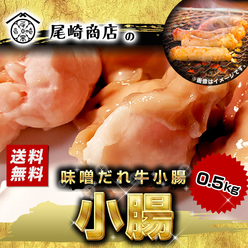 500g  牛ホルモン 小腸 ホルモン 味噌だれ