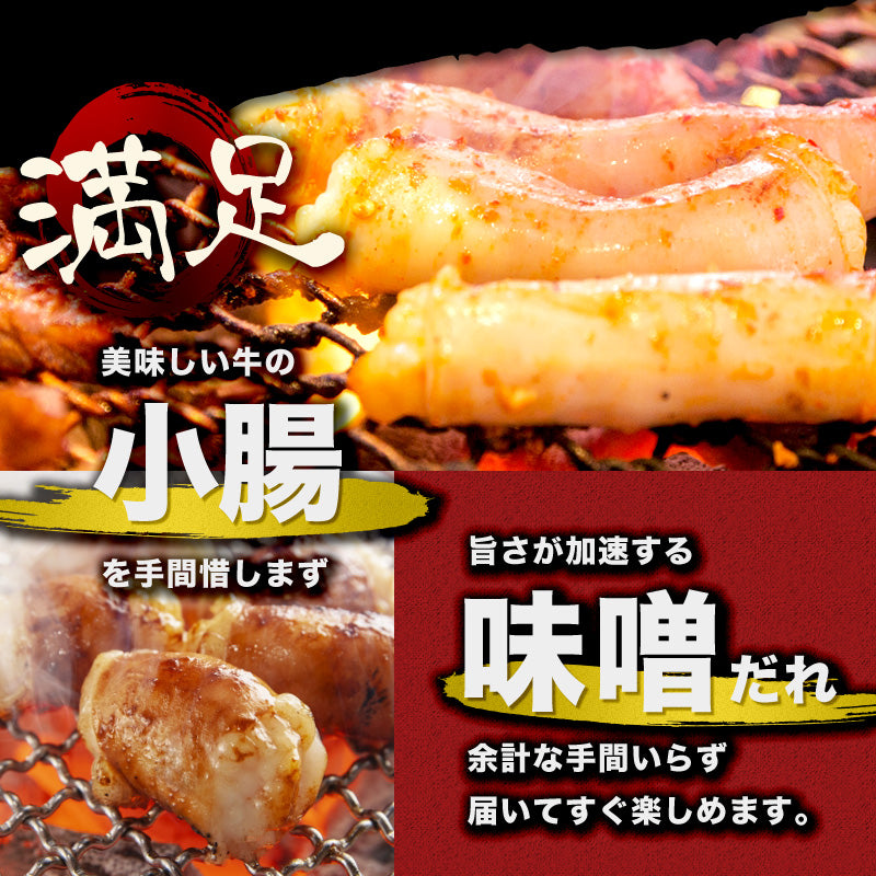 500g  牛ホルモン 小腸 ホルモン 味噌だれ