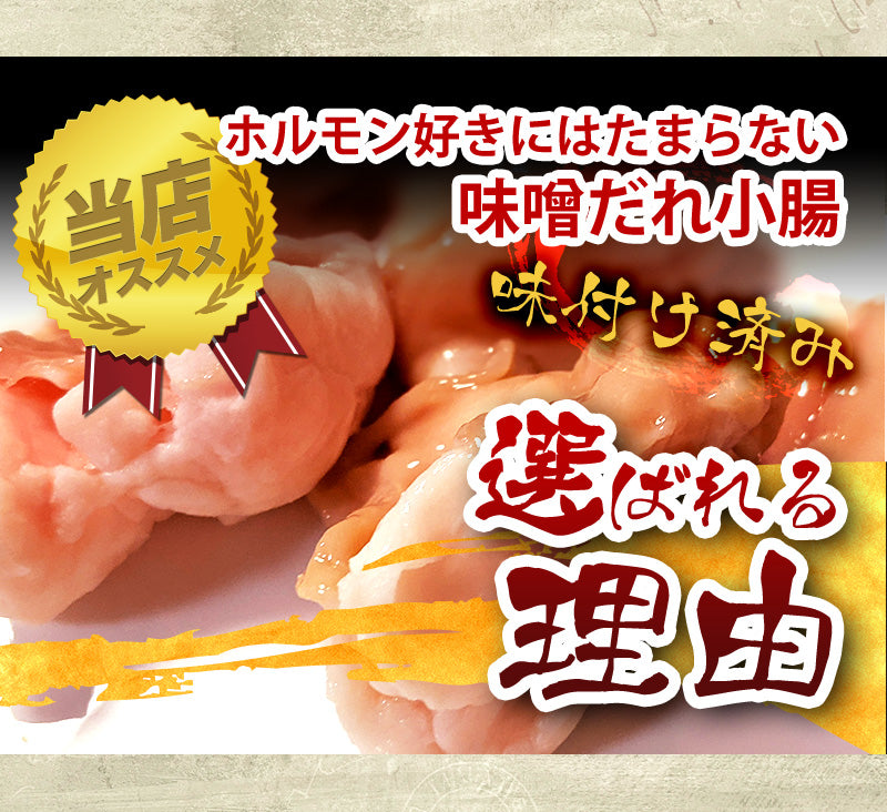 500g  牛ホルモン 小腸 ホルモン 味噌だれ