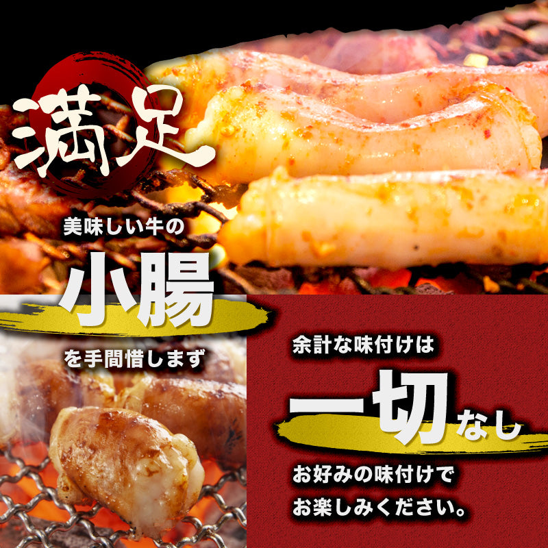 500g  牛ホルモン 小腸 ホルモン 味付けなし