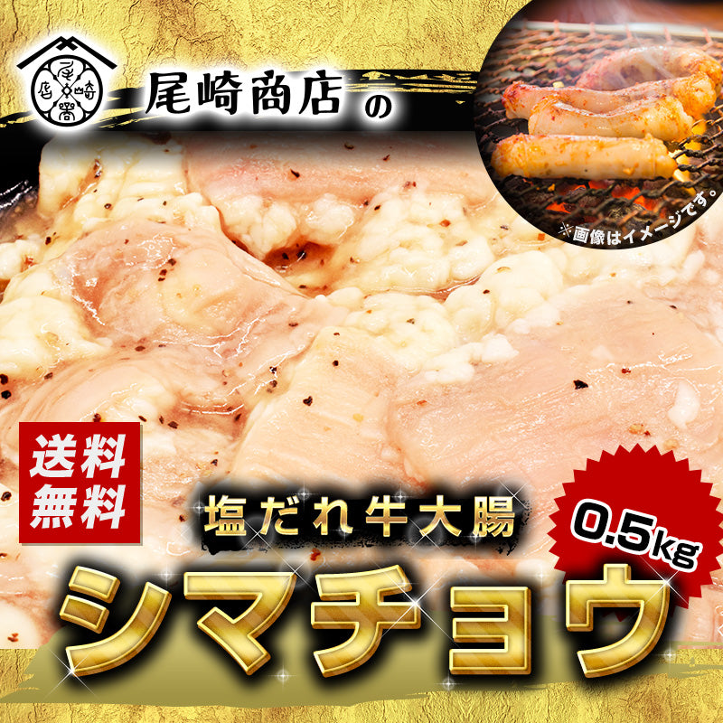 500g    牛ホルモン 大腸 シマチョウ 塩だれ