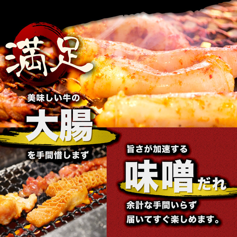 500g   牛ホルモン 大腸 シマチョウ 味噌だれ