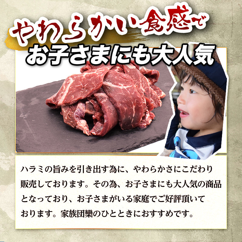 500g 牛ハラミ さがり 国産 味付なし