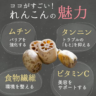 れんこんパウダー　100g