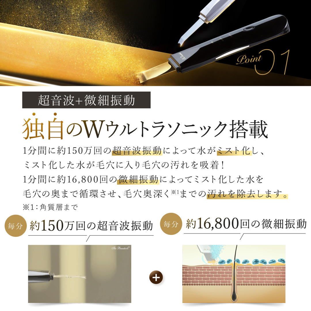 Shine (シャイン) 【正規代理店】 Rocklean(ロックリーン) ウォーターピーリング 複合美顔器 超音波×微細振動