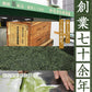 100g  おためし 高級料亭御用達ほうじ茶 茶葉