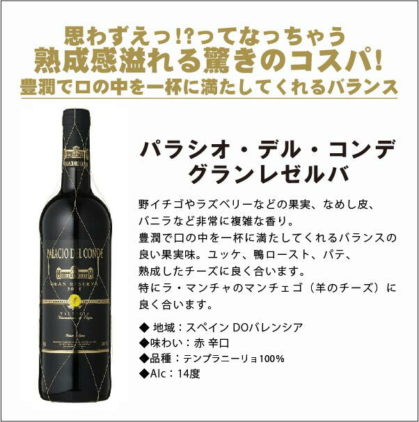 【送料無料】ワイン セット スペインワイン厳選10本絶品の長期熟成グランリゼルバ2本入り!【北海道・東北・四国・九州・沖縄県は必ず送料がかかります】