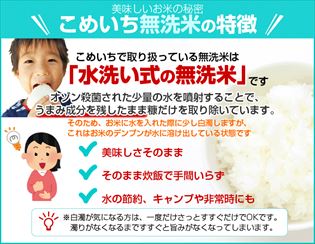 【スプリングセール・11%OFF・先着10購入限定】5kg×2袋【10kg】令和２年産 新米 無洗米 九州 宮崎県産こしひかり